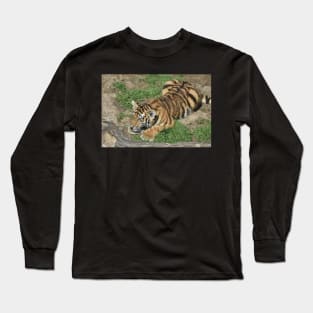 Tiger Cub Long Sleeve T-Shirt